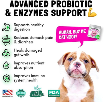 Cranberry UTI Chews for Dogs Bladder Suppot + D-Mannose Supports Kidney Urinary Tract 120 Chews and Probiotics for Dogs Natural Digestive Enzymes Prebiotics for Allergy 120 Chews