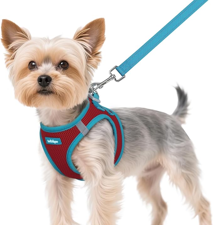 rabbitgoo Dog Harness Small Sized and Leash Set, Step-in Breathable Pet Harness, Soft Walking Reflective Puppy Vest for Small Dogs, Red & Teal, XS