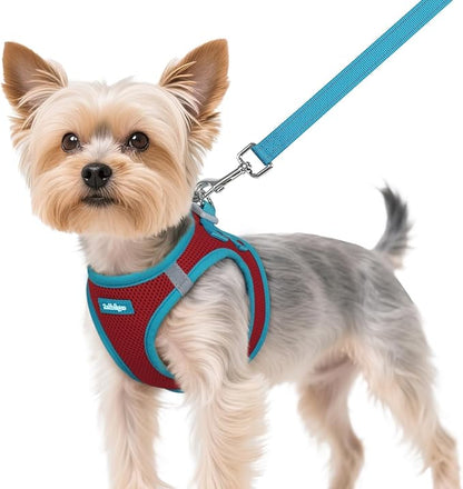 rabbitgoo Dog Harness Small Sized and Leash Set, Step-in Breathable Pet Harness, Soft Walking Reflective Puppy Vest for Small Dogs, Red & Teal, XS