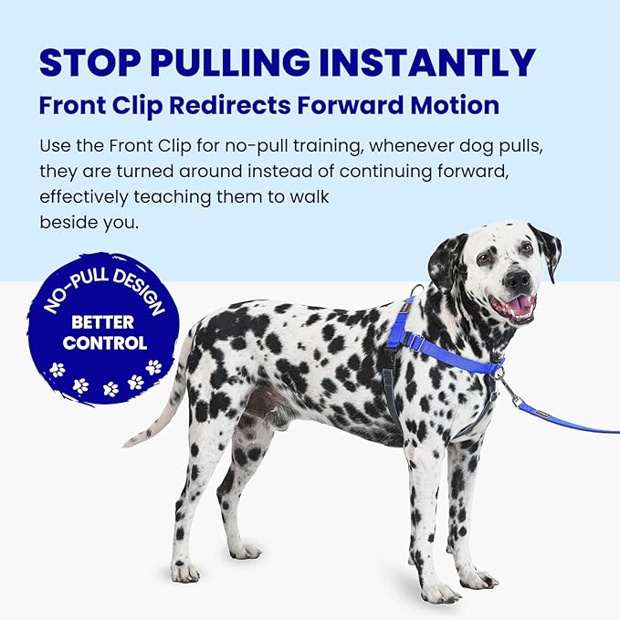 Freedom No Pull Dog Harness, Easy Walk with Two Stainless D-Rings, Front Clip, Comfortable, Sewn-in Instructions Tags for Easy Use, for Large Dogs Weight 60-80 lbs (Blue, L)