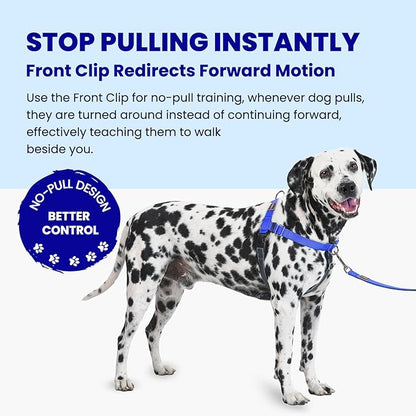 Freedom No Pull Dog Harness, Easy Walk with Two Stainless D-Rings, Front Clip, Comfortable, Sewn-in Instructions Tags for Easy Use, for Large Dogs Weight 60-80 lbs (Blue, L)
