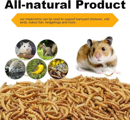 10lbs Dried Mealworms Bulk – High Protein Chicken Treats, Wild Bird Food & Feed Supplement | Non-GMO Mealworms for Chickens, Birds, Reptiles, Turtles & Hamsters