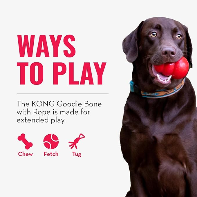 KONG Puppy Goodie Bone with Rope - Natural Rubber Bone with Cotton Rope - Teeth Cleaning Chew Toy for Growing Puppies - for XS Puppies - Blue