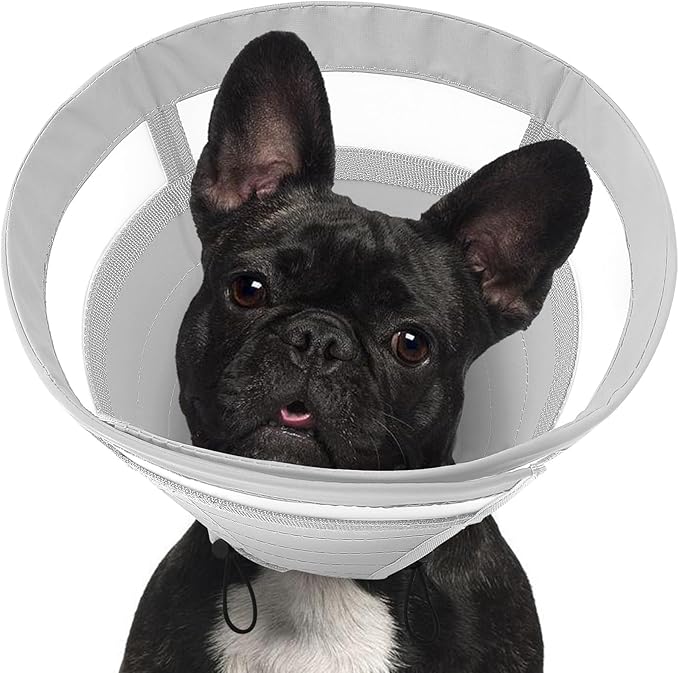 SAWMONG Soft Cone for Dogs – Small Dog Recovery Collar, Adjustable E-Collar to Stop Licking After Surgery (S, Gray)