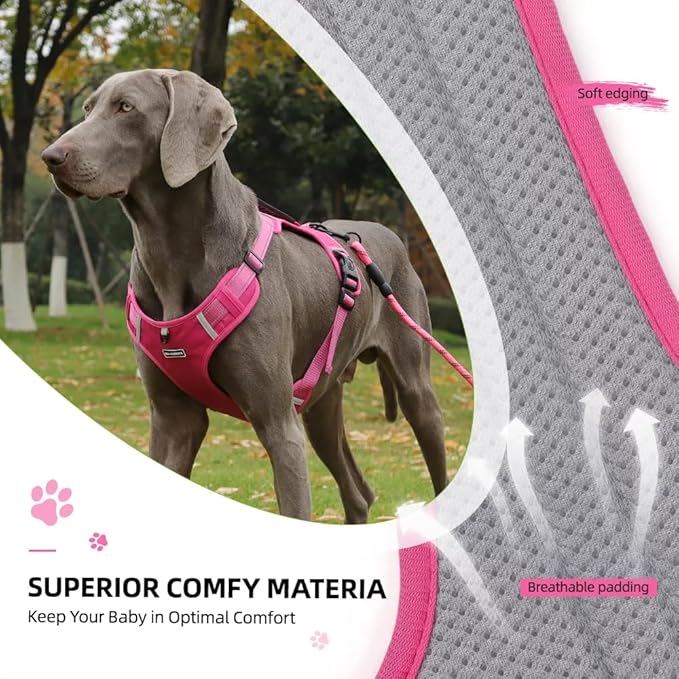 Dog Harness No Pull Adjustable Reflective,for Medium and Large Small Dog with Leash 59.06in (Fuscia, XL)