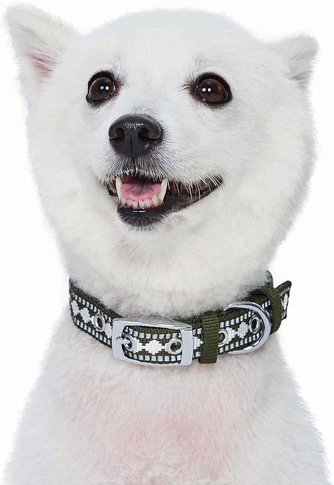 Blueberry Pet Reflective Jacquard Dog Collar with Neoprene Padding & Metal Buckle | Soft & Adjustable Safety Collar - Olive, Neck 13-16.5", for Medium Breed