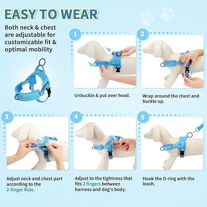 Lukovee No Pull Dog Harness and Leash Set, Soft Padded Small Dog Harness, Neck & Chest Adjustable Reflective Vest Puppy Harness with 4ft Lightweight Anti-Twist Dog Leash for Small Dogs (LBL, S)