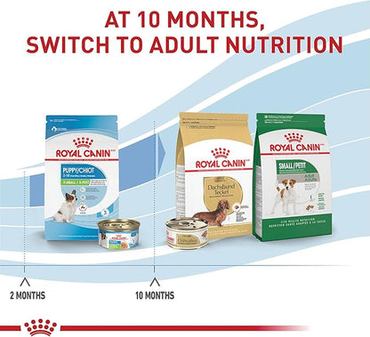 Royal Canin Size Health Nutrition X-Small Puppy Thin Slices in Gravy Dog Food, 3 oz (Pack of 12)