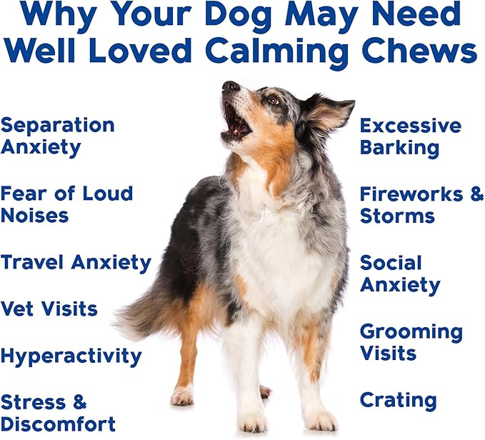 Well Loved Calming Chews for Dogs - Dog Calm Treats, Made in USA, Vet Recommended, Behavior Support with Melatonin & Hemp, Stress, Separation, Fireworks, Travel, Extra Strength