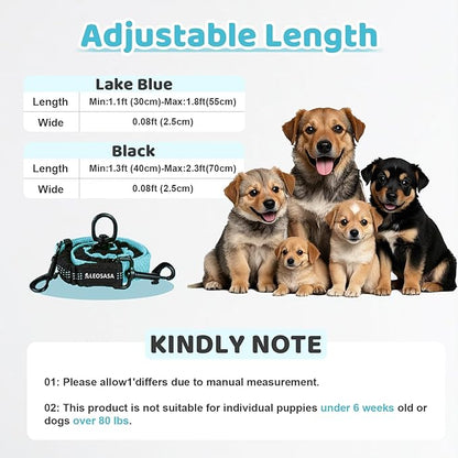Double Dog Leash - 360°Swivel Tangle Free Splitter Attachment, 2 Dogs Multi-Functional Leashes, Dual Rope for Outdoor Walk Train Small Medium Large Two Pet, Lake Blue