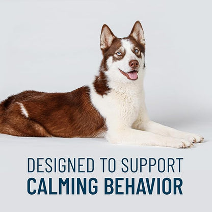 Nutramax Solliquin Calming Support for Dogs, Behavioral Health Supplement with L-Theanine, Magnolia/Phellodendron, and Whey Protein Concentrate, Soft Chews, 75 Count (Pack of 2)