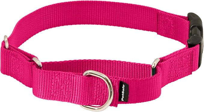 PetSafe Adjustable Martingale Collar - Improves Leash Manners - Escape Prevention - Gentle Behavior Training - Durable Nylon - Alternative to Choke Collar - Petite 3/8" - Raspberry Pink