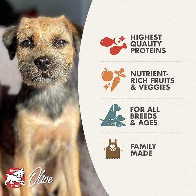 Fromm Four-Star Nutritionals Surf & Turf Dog Food - Premium Dry Dog Food - Salmon Recipe - 4 lb