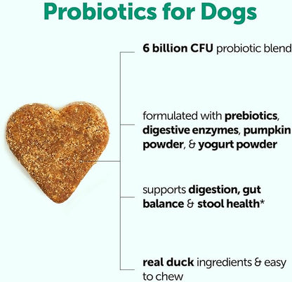 Micro Ingredients Probiotics for Dogs, 240 Soft Chews | Daily Digestive Health Probiotic Chews for Dogs with Prebiotics & Enzymes | Supports Gut Flora & Immune Function* | Non-GMO, Duck Flavor