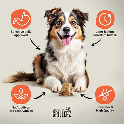 Scott Pet Grillerz 2-3 inch Beefy Bone, 1 Count, Rawhide Free, All Natural Treat for All Breeds, Long Lasting, Easy to Digest, Dog Chew for Healthy Teeth