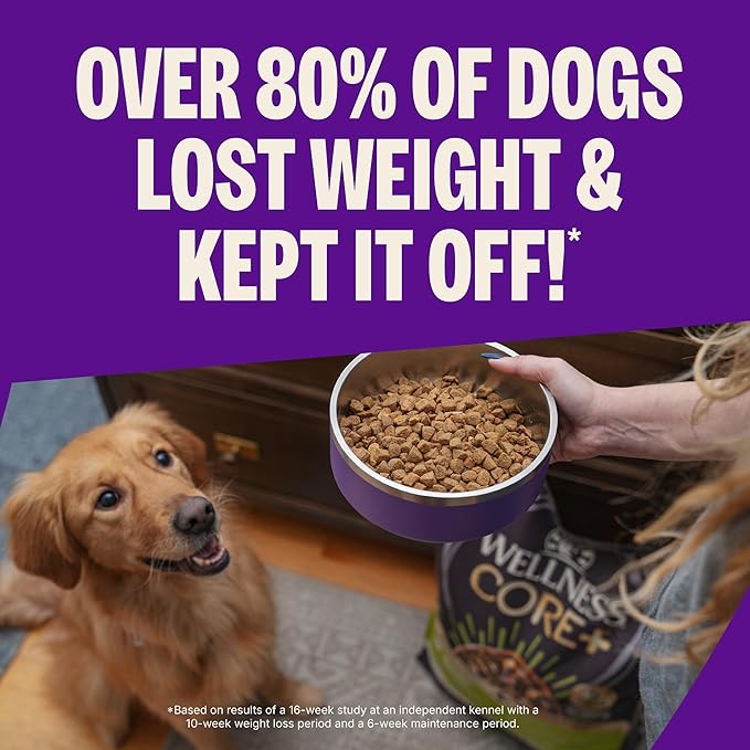 Wellness CORE Dry Dog Food, Grain-Free, High Protein, Natural, Healthy Weight Turkey & Chicken Recipe, (12-Pound Bag)