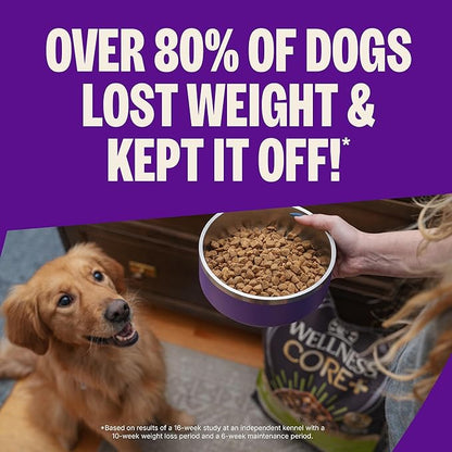 Wellness CORE Dry Dog Food, Grain-Free, High Protein, Natural, Healthy Weight Turkey & Chicken Recipe, (12-Pound Bag)