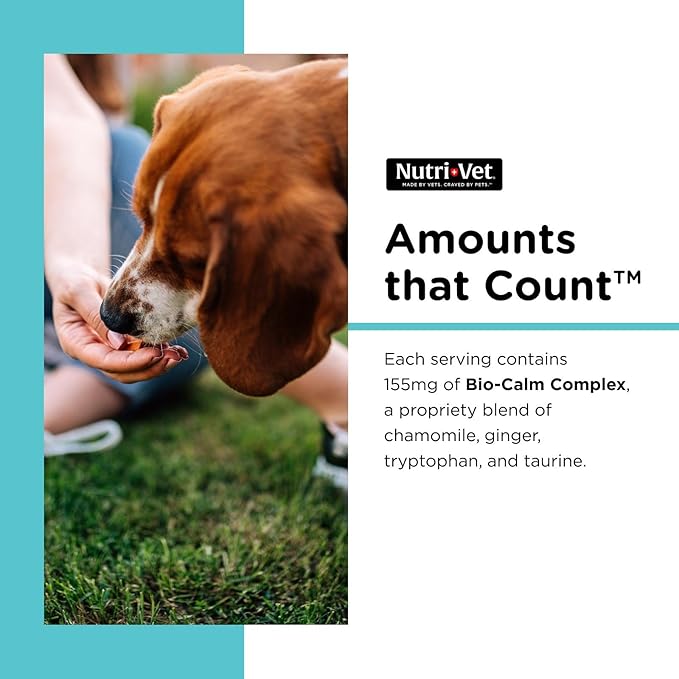 Nutri-Vet Pet-Ease Soft Chews for Dogs, Vet Formulated with Chamomile & Tryptophan to Soothe and Calm During Storms, Separation Anxiety, and Loud Noises, Dog Calming Supplement, 6.0 oz