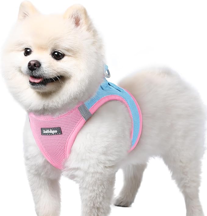 rabbitgoo Small Dog Harness, Step-in Soft Mesh Puppy Vest with Safety Buckle, Breathable Reflective Pet Harness for Small Sized Dogs, Blue & Light Pink S