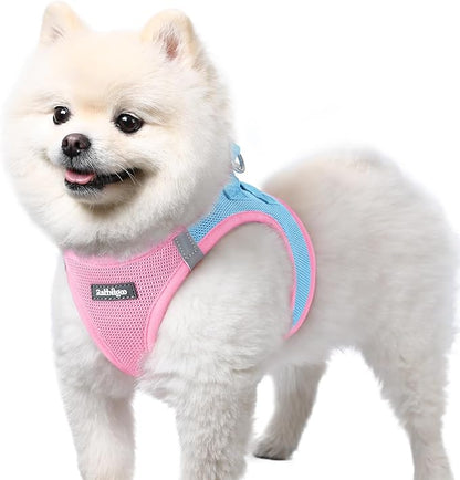 rabbitgoo Small Dog Harness, Step-in Soft Mesh Puppy Vest with Safety Buckle, Breathable Reflective Pet Harness for Small Sized Dogs, Blue & Light Pink S