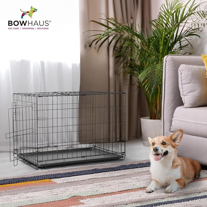 CAPHAUS Foldable Dog Crate Wire Metal Dog Kennel w/Divider Panel, Leak-Proof Pan & Protecting Feet, Single & Double Door, Small, Medium & Large Dog Crate Indoor Wire Dog Cage, 30” w/Easy-Flick Lock
