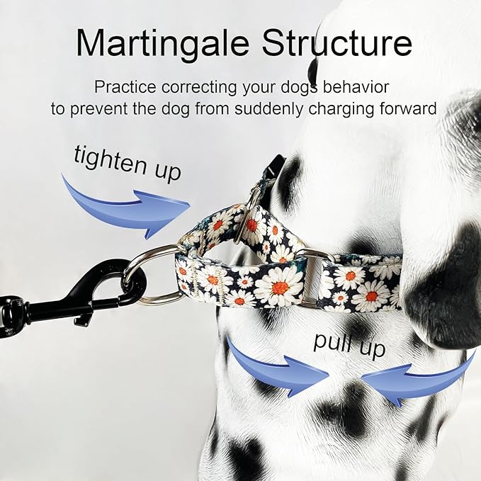 Martingale Collar for Dogs Flower Dog Collars with Quick Release Buckle Adjustable Nylon Soft Dog Collar for Large Dogs, Daisy