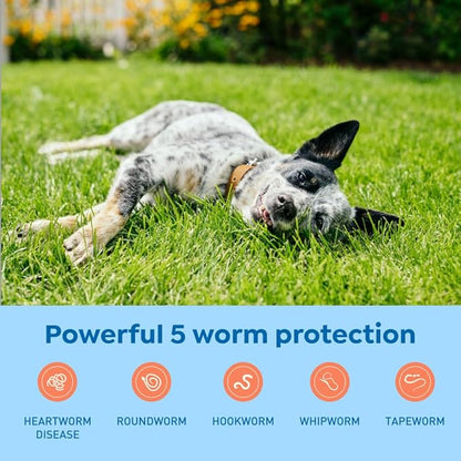 Interceptor Plus Prevention for Heartworm + 4 Other Worms for Dogs 25.1-50 lbs. | 12 Chews, 12-Month Supply