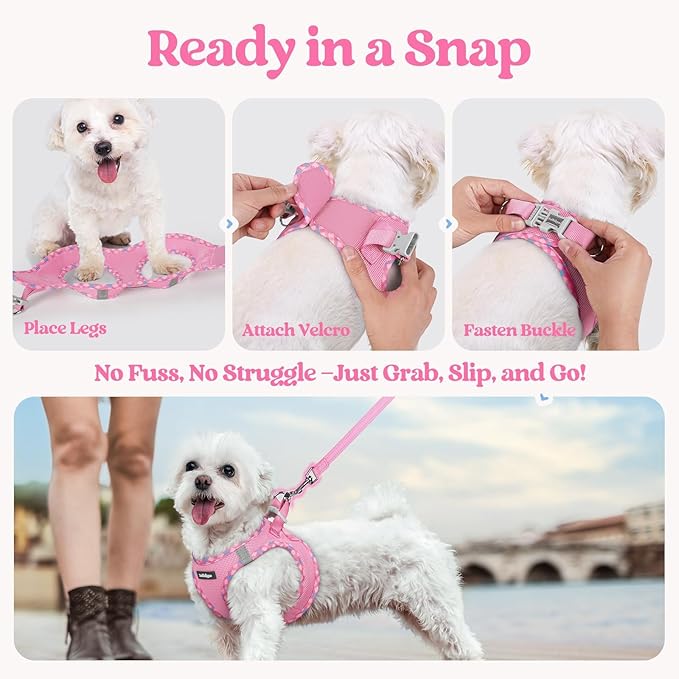 rabbitgoo Dog Harness Small Sized and Leash Set, Step in Soft Light Puppy Vest, Breathable Mesh Pet Harness, Reflective for Safe Easy Walking, Pink & Plaid Trim XXS