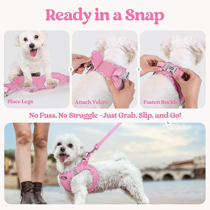 rabbitgoo Dog Harness Small Sized and Leash Set, Step in Soft Light Puppy Vest, Breathable Mesh Pet Harness, Reflective for Safe Easy Walking, Pink & Plaid Trim S