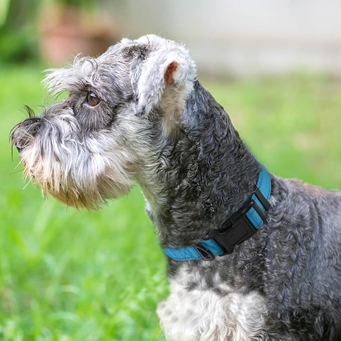 Joytale Reflective Dog Collar, Soft Neoprene Padded, Metal D-Ring, Nylon Pet Collar Adjustable for Medium Dogs, Sky Blue, M