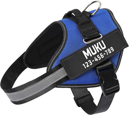 MUMUPET Custom Dog Harness Vest with 2 Personalized Name & Phone Patches, No Pull Reflective Adjustable with Handle, Soft Breathable Padding for Small Dogs (Blue, S)