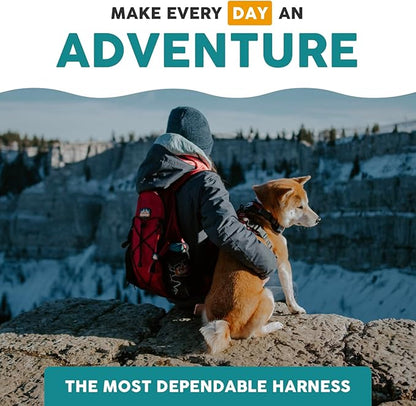 Embark Adventure Small Dog Harness – No-Pull, Reflective Trim, Military-Grade Nylon, Front Clip with Gel-Lined Handle
