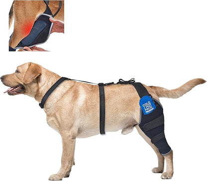 Dog Knee Brace for Torn ACL Hind Leg, Hind Leg Support with Removable Hot/Cold Gel Pack, Joint Pain & Mobility Relief, Left Leg, XL