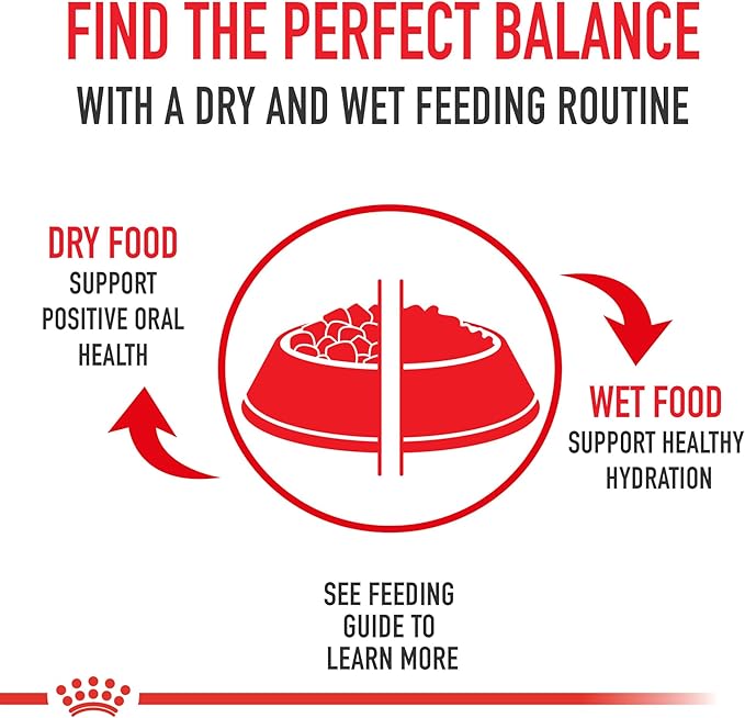 Royal Canin Size Health Nutrition Large Aging 8+ Senior Dry Dog Food, 30 lb Bag