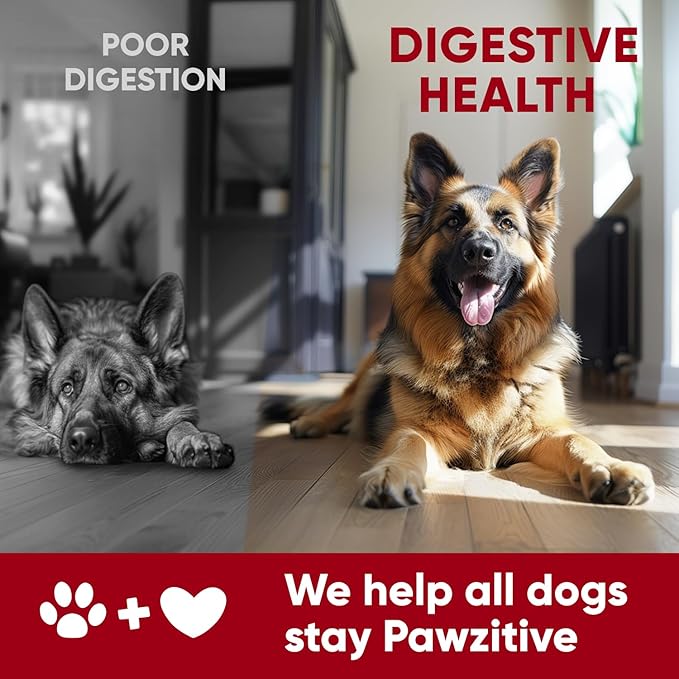 Probiotics for Dogs Digestive Health - Probiotic Chews for Gut Health, Itchy Skin Yeast, Diarrhea - USA Product - Immune Support Supplement - Dog Digestive Support & Allergy Relief Chews with Enzymes