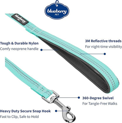 Blueberry Pet 3M Reflective Pastel Color Dog Leash with Soft & Comfortable Handle, 5 ft x 3/4", Mint Blue, Medium, Leashes for Dogs