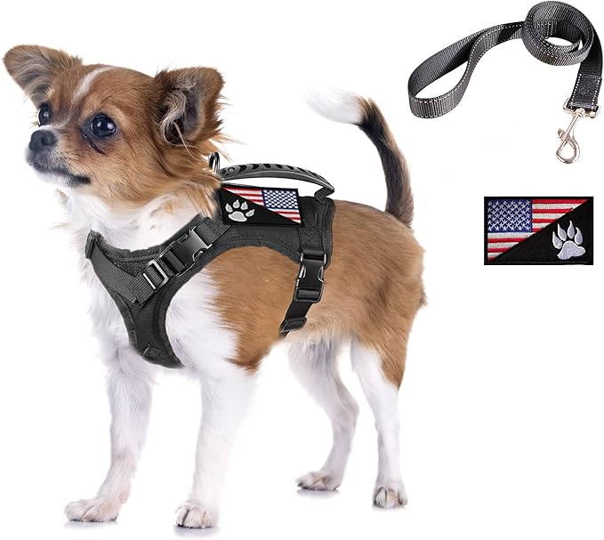 Tactical Dog Harness with Leash Tactical Puppy Vest with Rubber Handle K9 Military Adjustable Pet Harness for Outdoor Training XS Dog Harness (Black Harness with Leash)
