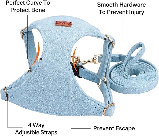 No Pull Dog Harness- Lightweight, Soft, Adjustable Small Harness Collar and Leash Set, Suitable for Cats Puppy Small and Medium-Sized Dog Outdoor Training and Running (Blue, S)