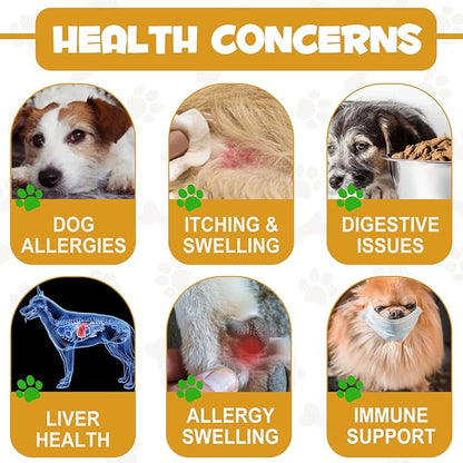 Allergy Relief Drops for Dogs,Allergy and Immune,Immune Support Supplement,Dog Supplement,Natural Pet Supplement for Dog Allergy Relief with Turmeric & Milk Thistle