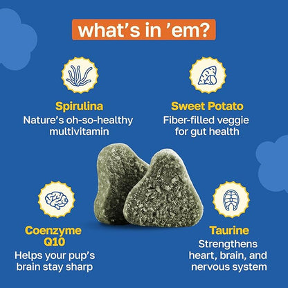 Happy Paws Cognitive Taurine Supplement for Dogs, Soft Chews with Spirulina, CoQ10 & Vitamins B1, B3, B12, Senior Dog Vitamins that Support Cognitive Function, Memory and Focus,