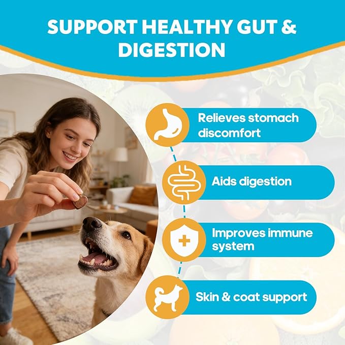 Probiotics for Dogs, Digestive Enzymes Promotes Gut Health, Dog Probiotics Chews for Bowel Support, Digestion Health, Immune Support, Reduce Diarrhea, Prebiotics Dog Probiotics - 120 Ct