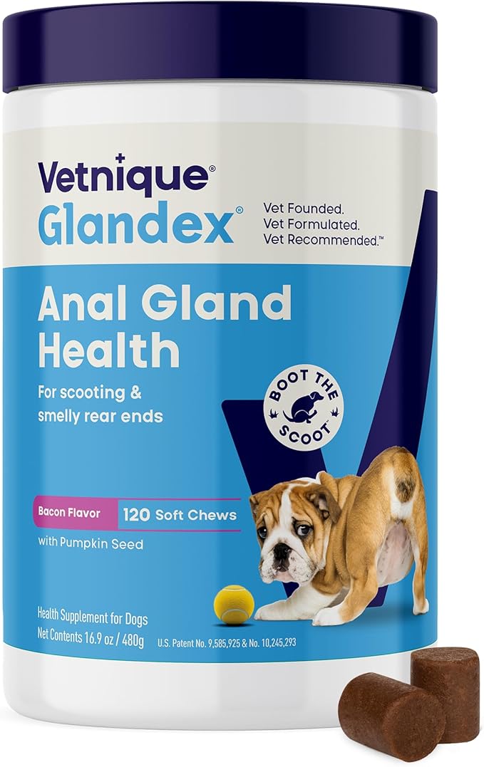 Vetnique Glandex Anal Gland Soft Chew Treats with Pumpkin for Dogs Digestive Enzymes, Probiotics Fiber Supplement for Dogs Boot The Scoot (Bacon Flavor Chews, 120 Count)