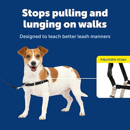 PetSafe Easy Walk Harness for Dogs - Pull-Free Walks - Patented Martingale Loop Design - Front Chest Leash Attachment - Comfort Straps - Breathable Harness Design - Small, Black/Silver