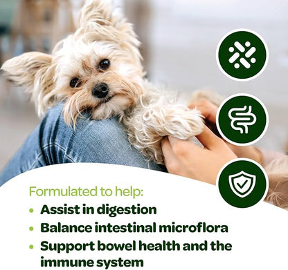 Probiotic Chews for Dogs Gut Health | Tasty Pre and Probiotics for Dogs Digestive Health with Pumpkin Dog Probiotics and Digestive Enzymes | NASC Certified & Made in The USA | 60 Chews (Pack of 2)