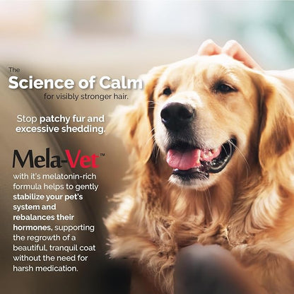 Melatonin Calming Soft Chews for Dogs, Vet-Formulated to Provide Relaxation & Anxiety Relief, Helps Reduce Stress & Tension-Supports Healthier Skin & Coat.120 Tasty Soft Chews.