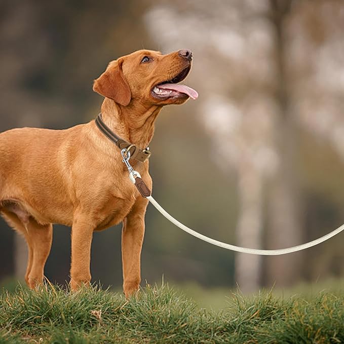 Mile High Life Leather Dog Leash, Heavy Duty Strong Genuine Leather Handle Rope Leash Soft and Comfortable for Small Medium Large Dogs (Cream White, 48 Inch)