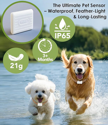 Automatic Dog Door for Wall with Sensor Collars, Large Smart Pet Door for Wall, Custom Scheduling & Anti-Pinch, Fits Large Dogs up to 100 lbs (L)