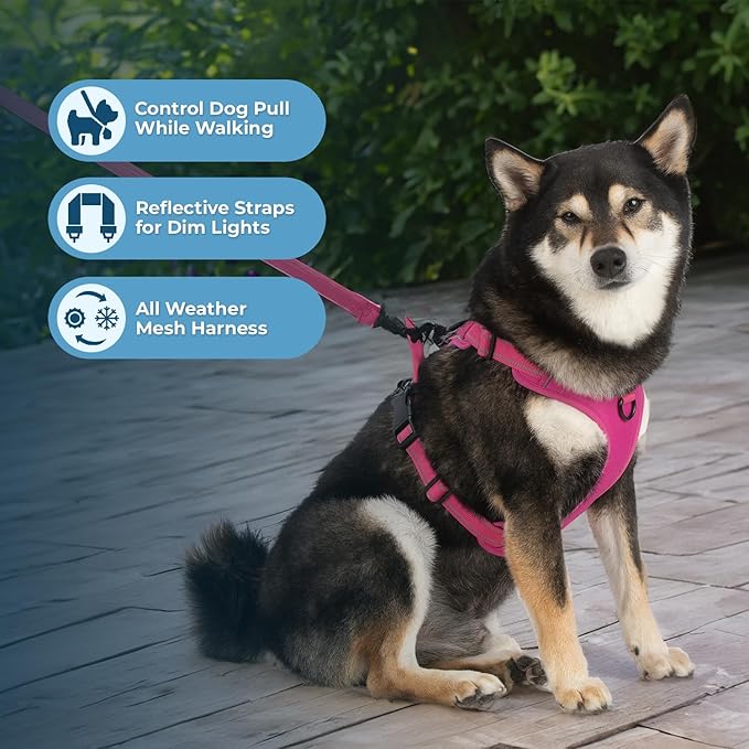 Voyager Dog Harness Dual Leash Attachment No-Pull Control Adjustable Soft but Strong Pet Harness for Medium and Large Dogs with 3M Reflective Technology, Fuchsia Nylon, XL (Chest: 28-37")