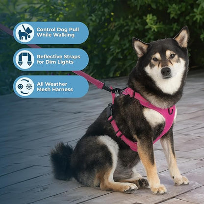 Voyager Dog Harness Dual Leash Attachment No-Pull Control Adjustable Soft but Strong Pet Harness for Medium and Large Dogs with 3M Reflective Technology, Fuchsia Nylon, XL (Chest: 28-37")