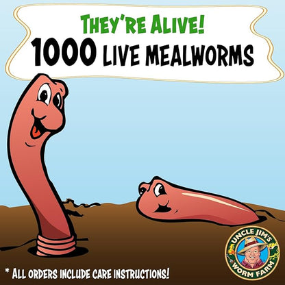 Uncle Jim's Worm Farm 1000 Count Mealworms for Reptiles and Chickens | Mealworms for Feeding Lizard, Gecko, Bearded Dragons, Chickens, Birds, and More | Suitable for Fishing Bait